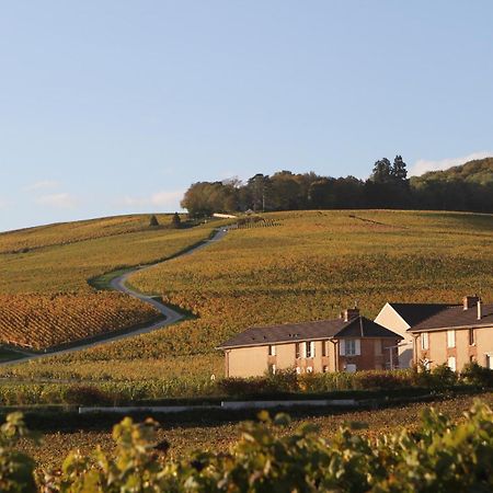 Maison Et Jardin A Epernay Centre Ville 외부 사진